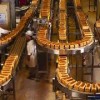 bread-conveyor