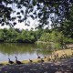 wibsey_park